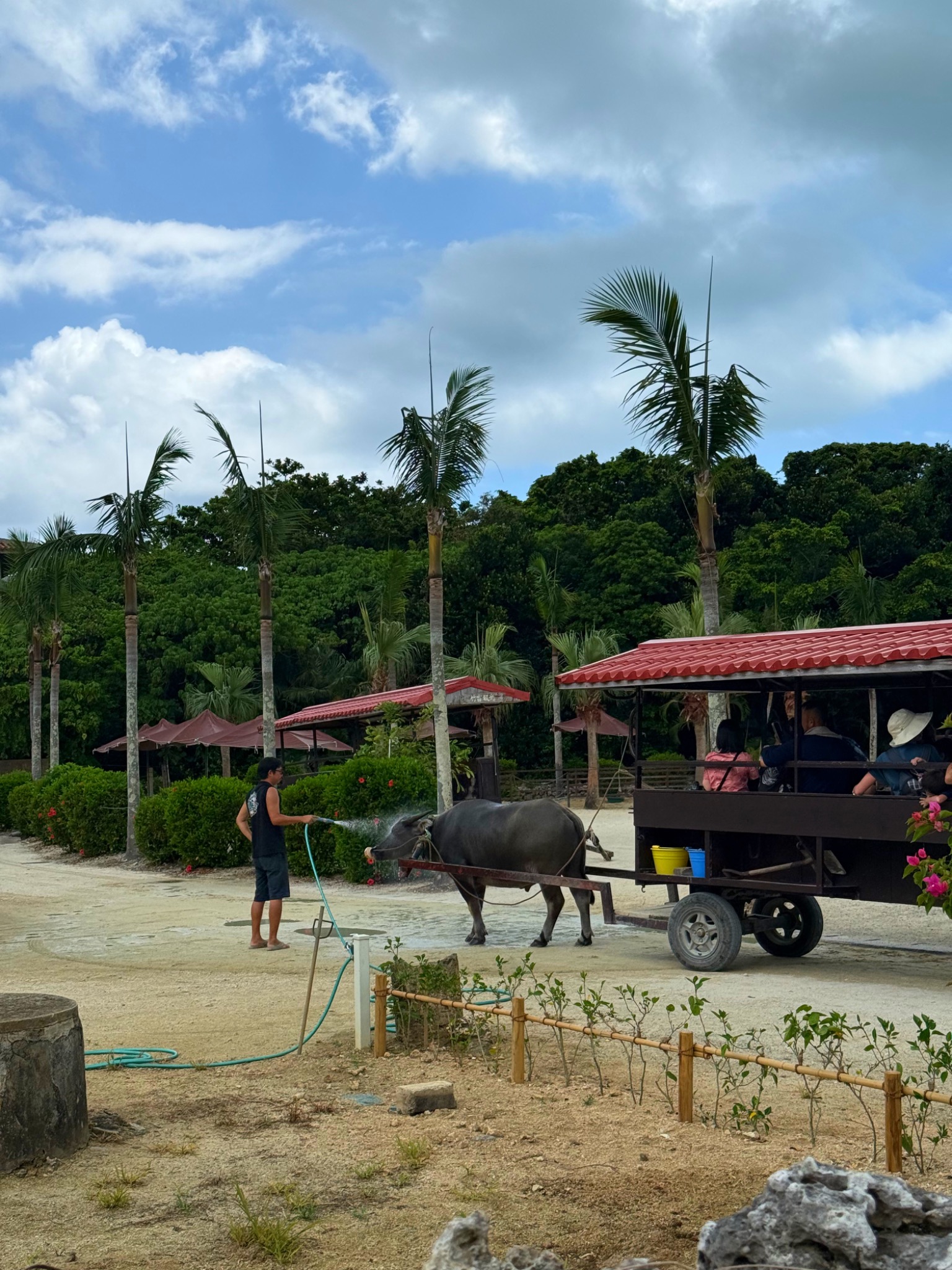 Taketomi, Okinawa